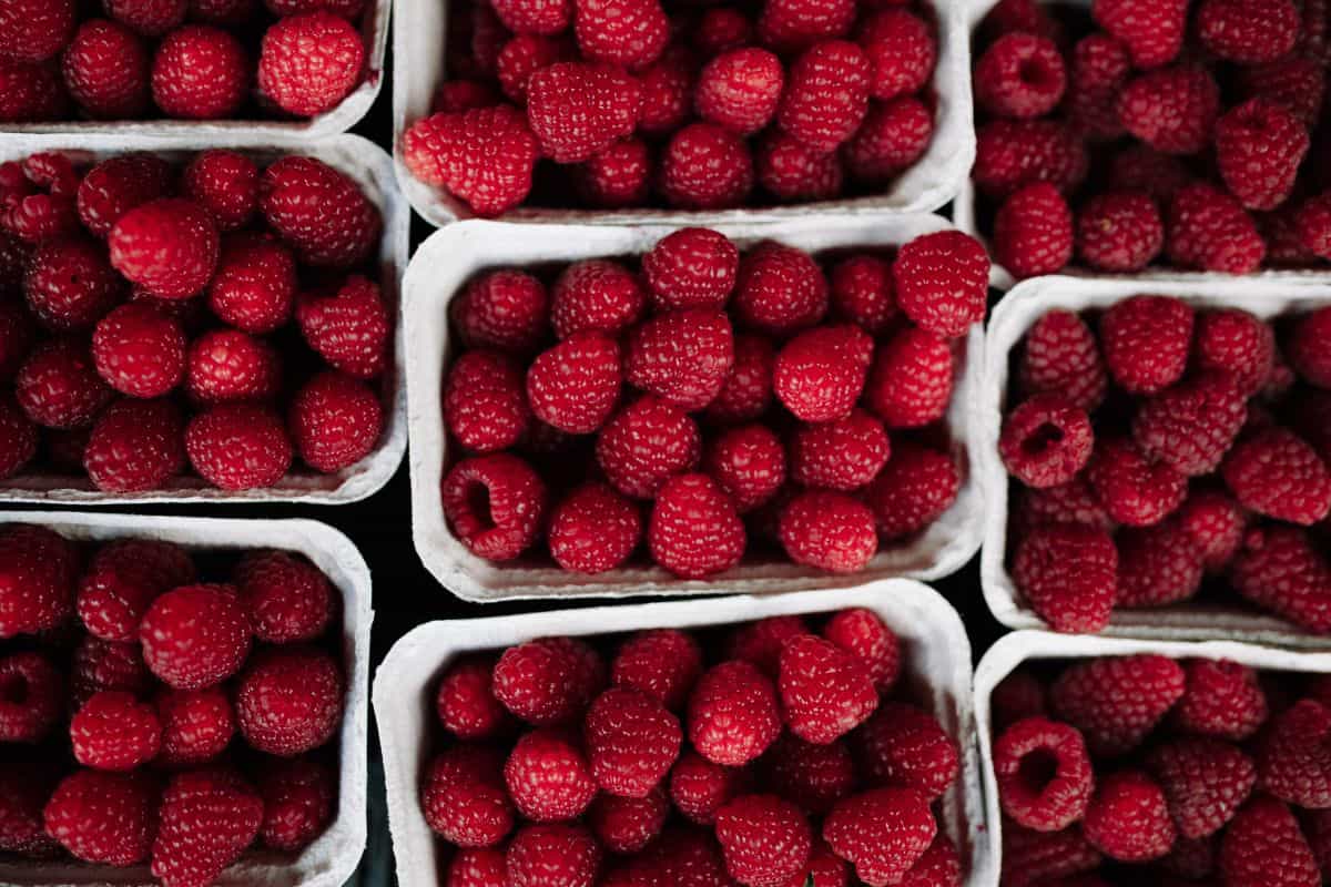 Málna dobozokban